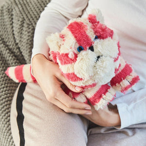 Bagpuss Cat