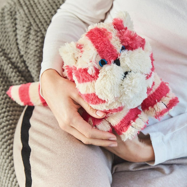 Bagpuss Cat