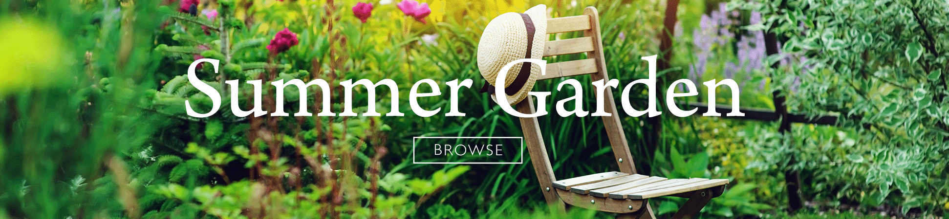 Summer Garden