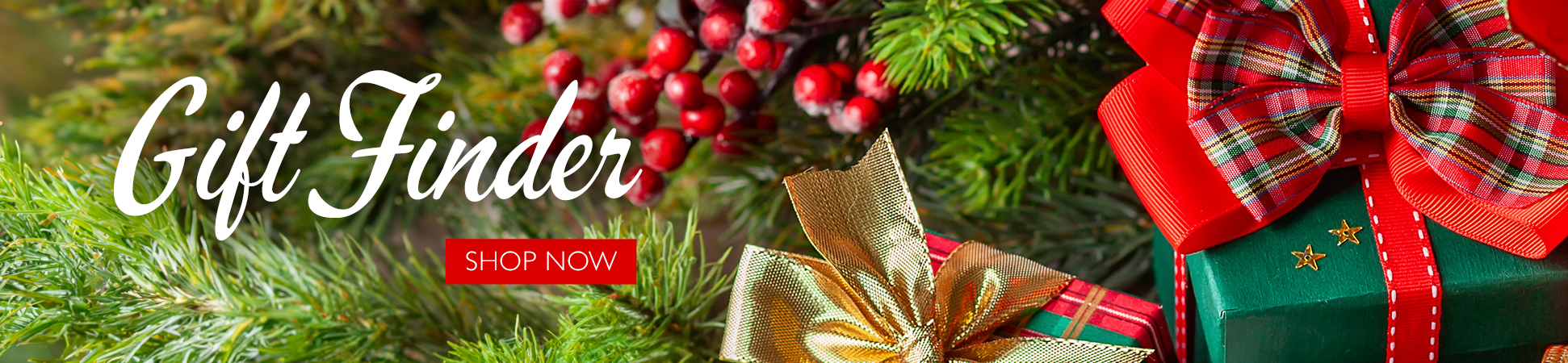 Gift Finder