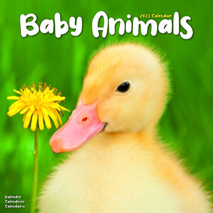 Owl Barn Gifts - Baby Animals 2023 Wall Calendar