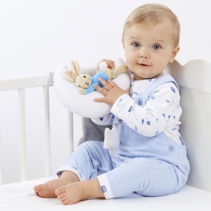Peter rabbit musical plush toy hot sale