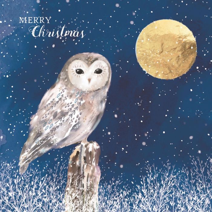 owl christmas cards