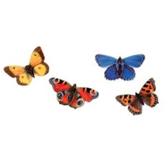 Butterfly Fridge Magnets