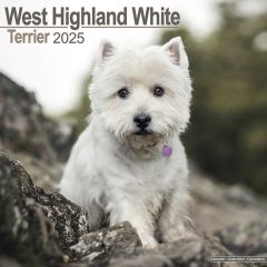 Westies 12 Calendar 2026