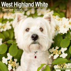 Westies 12 Calendar 2026