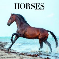 Horses 12" Calendar 2023