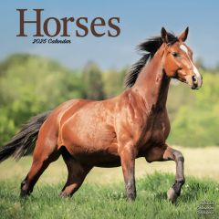 Horses 12" Calendar 2024