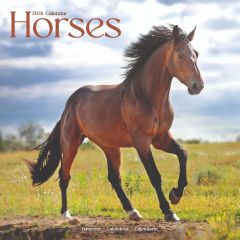 Horses 12" Calendar 2026