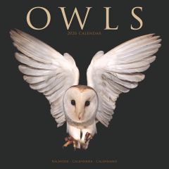 Owls Calendar 2026