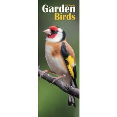 Garden Birds 2024 Slimline Calendar
