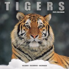 Tigers Calendar 2024