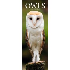 Owls Slimline Calendar 2024
