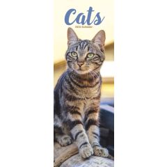 Cats Slimline Calendar 2026