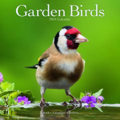 Garden Birds 12'' Calendar 2025