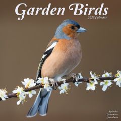 Garden Birds 12'' Calendar 2024