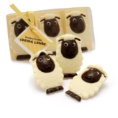 Chocolate Spring Lambs Gift Pack