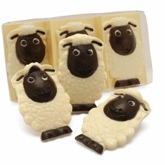 Chocolate Spring Lambs Gift Pack