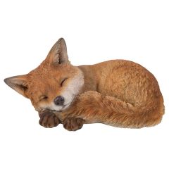 Sleeping Fox Cub