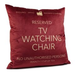 TV Watching Chair Cushion