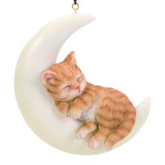 Crescent Moon Ginger Kitten