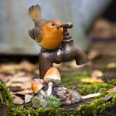 Robin on Garden Tap