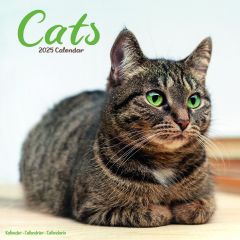 Cats Calendar 2024