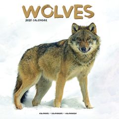 Wolves 2024 Calendar