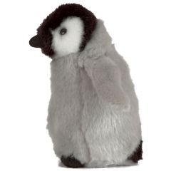 Cuddles the Penguin Chick
