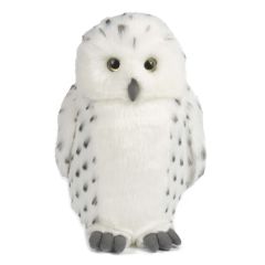 Simon the Snowy Owl