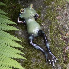 Freddie the Fortune Frog