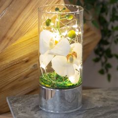 Illuminated Everlasting Orchids Terrarium