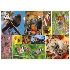 RSPB Great British Wildlife 1000-Piece Jigsaw