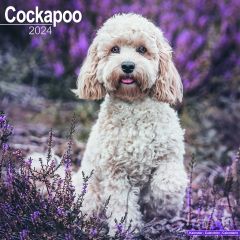 Cockapoo 2025 Calendar