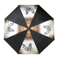 Short Haired Cat Umbrella