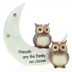 Night Owls Friends
