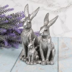 Silver Hares and Young