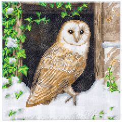 Barn Owl In Snow Crystal Art Kit