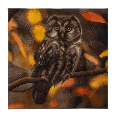 Tawny Owl Crystal Art