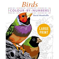 Large Print Colour by Numbers Birds