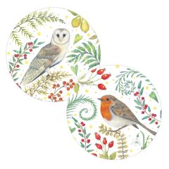 Winter Birds Christmas cards set
