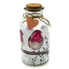 Illuminated Robin Jar