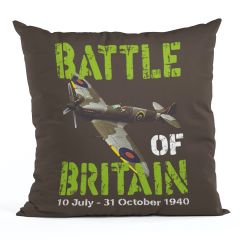 Battle Of Brittain Cushion
