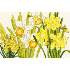 Daffodil Blooms Cross-Stitch Kit