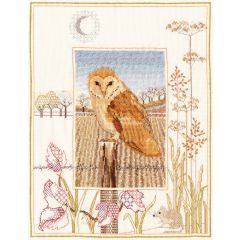 Farmland Barn Owl Cross Stitch Kit