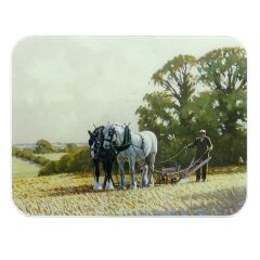 Country Life Worktop Protector