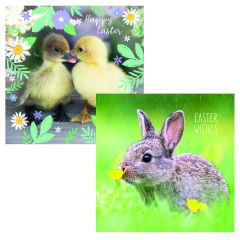 Easter Bunny & Duckling Saver Set