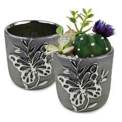 Exclusive Saver Butterfly Planter Set