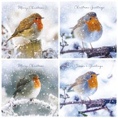 Snowfall Robins Christmas Cards