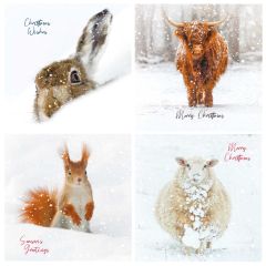 Snow Creatures Bumper Box